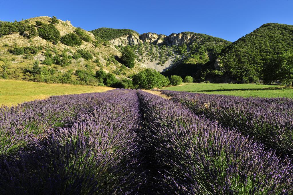 Vvf Drome Provence Otel Montbrun-les-Bains Dış mekan fotoğraf